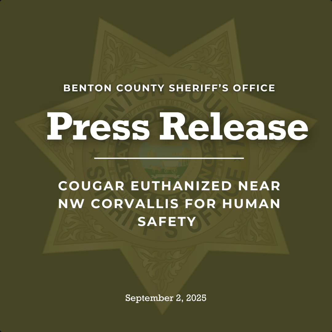 Cougar Euthanized Near NW Corvallis for Human Safety